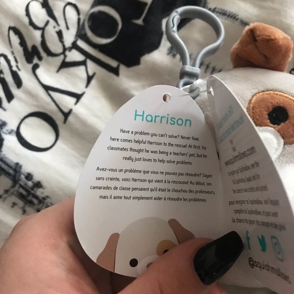 Squishmallows - Picture 2 of 2